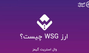 ارز WSG چیست