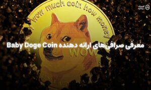 معرفی صرافی‌های ارائه دهنده Baby Doge Coin