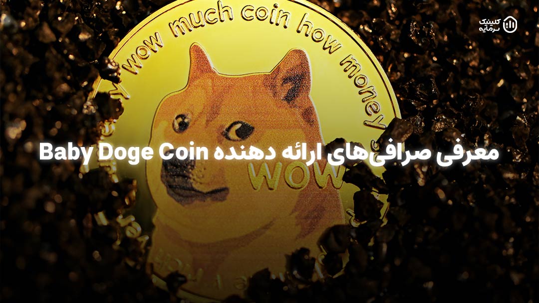 معرفی صرافی‌های ارائه دهنده Baby Doge Coin