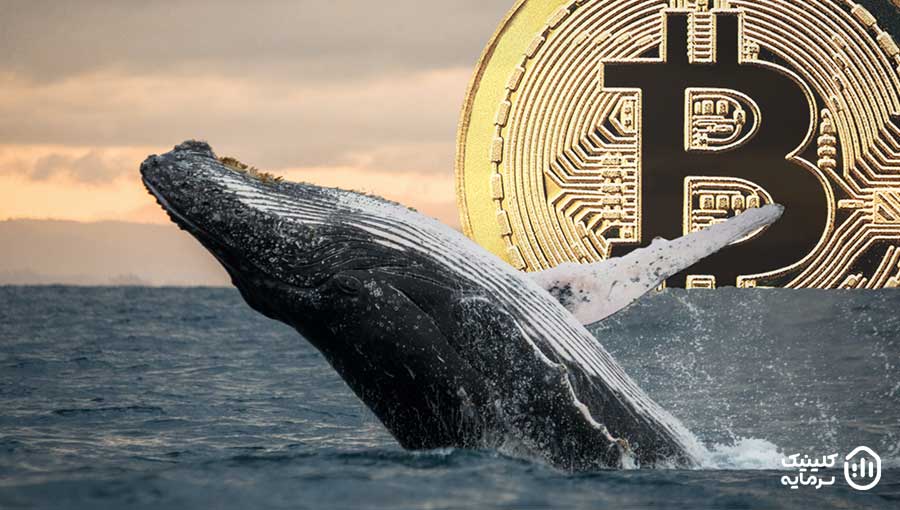 نهنگ‌های بیت کوین در تلاش برای باز پس‌گیری سطوح قیمتی بالاتر